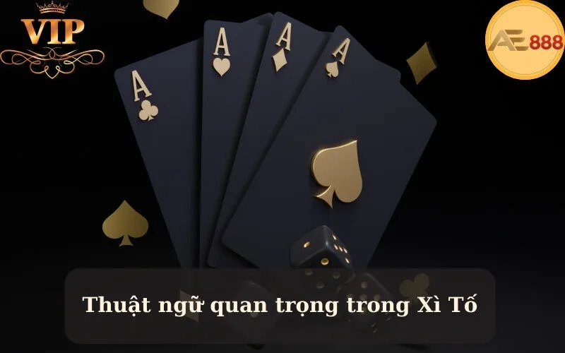 Thuật ngữ quan trọng trong Xì Tố